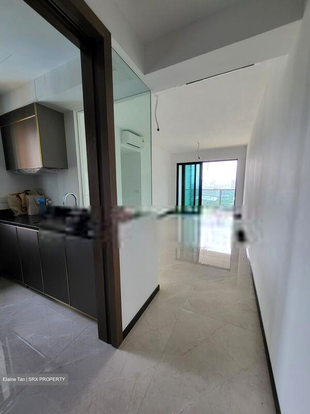 Normanton Park (D5), Apartment For Rent 100637121